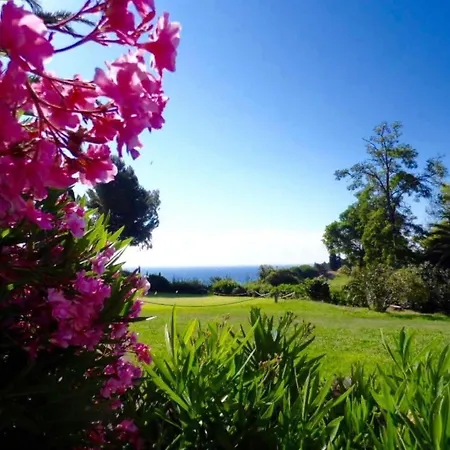 Cap Esterel Prestige By Interhome Apartment *